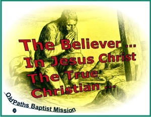 The Believer